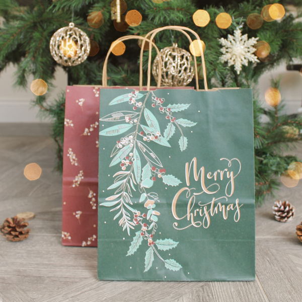 Christmas paper gift bags | Refillability Devon