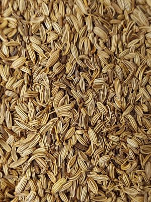 Fennel Seeds | Refillability Devon