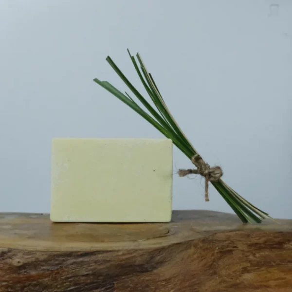 The Good Soap Lemongrass Deodorant Bar | Refillability