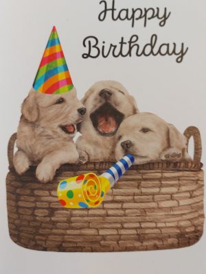 Happy Birthday Puppy Card | Refillability