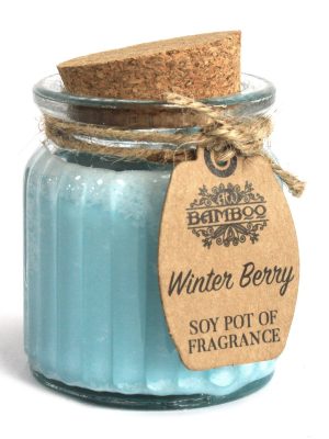Winter Berry Soy Pot of Fragrance Candles 2 Pack | Refillability