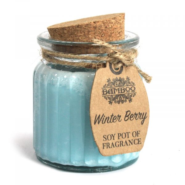 Winter Berry Soy Pot of Fragrance Candles 2 Pack | Refillability