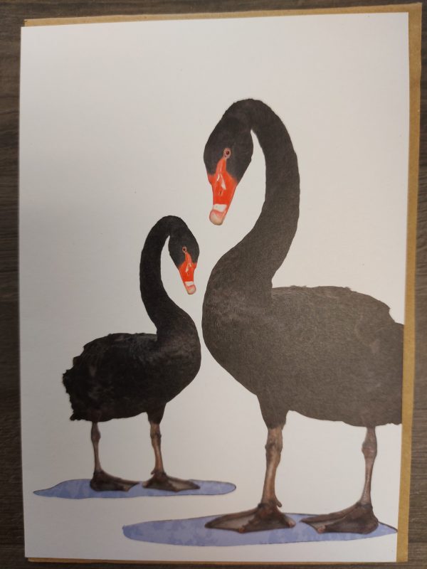 Black Swan Card | Refillability