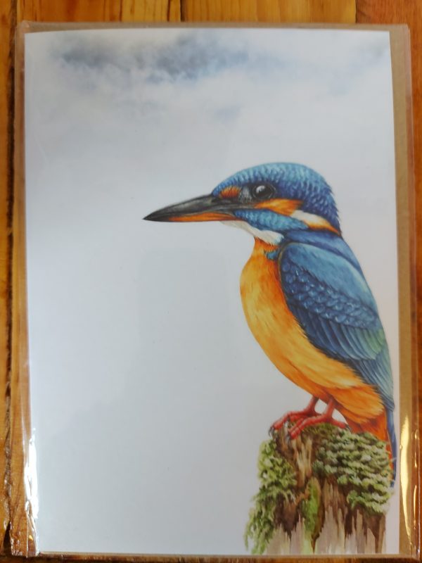 Kingfisher Card Refillability